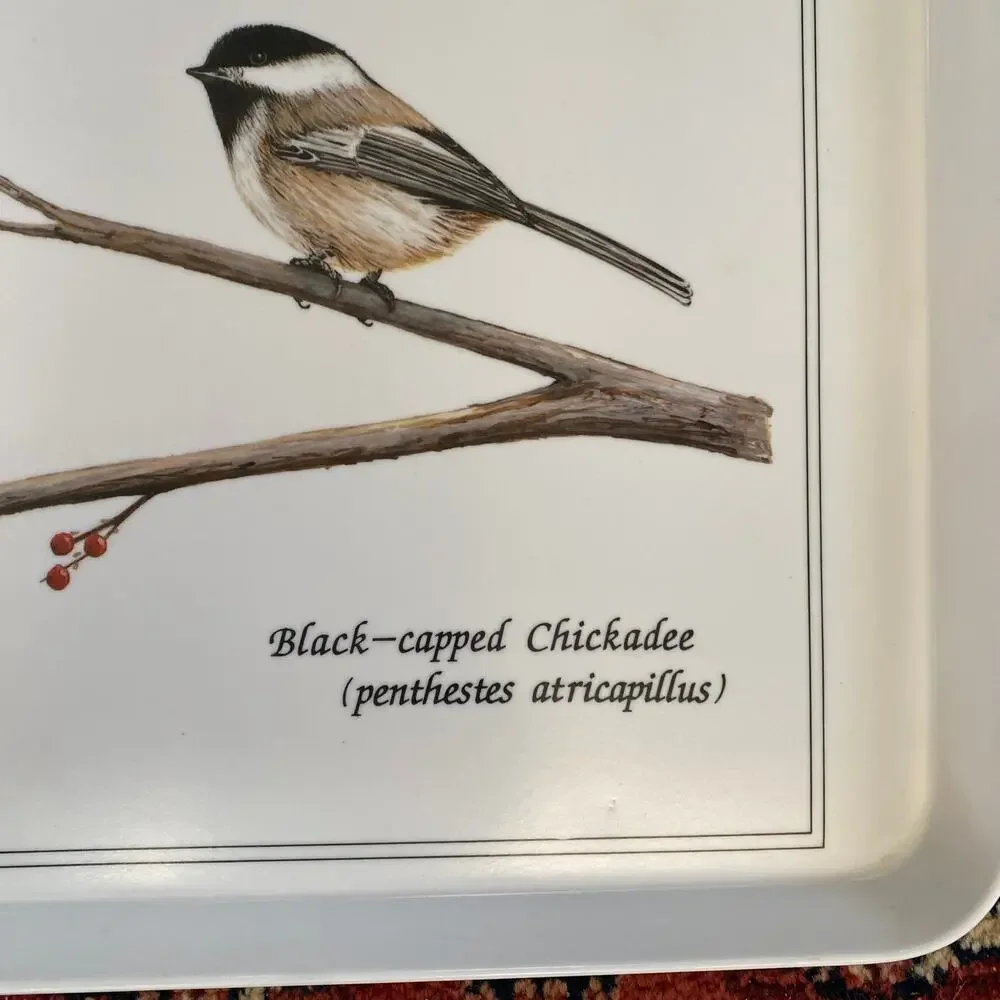 NASHCO Meplus‎ Chickadee Tray 17-1/2” x 12” EXCELLENT CONDITION!